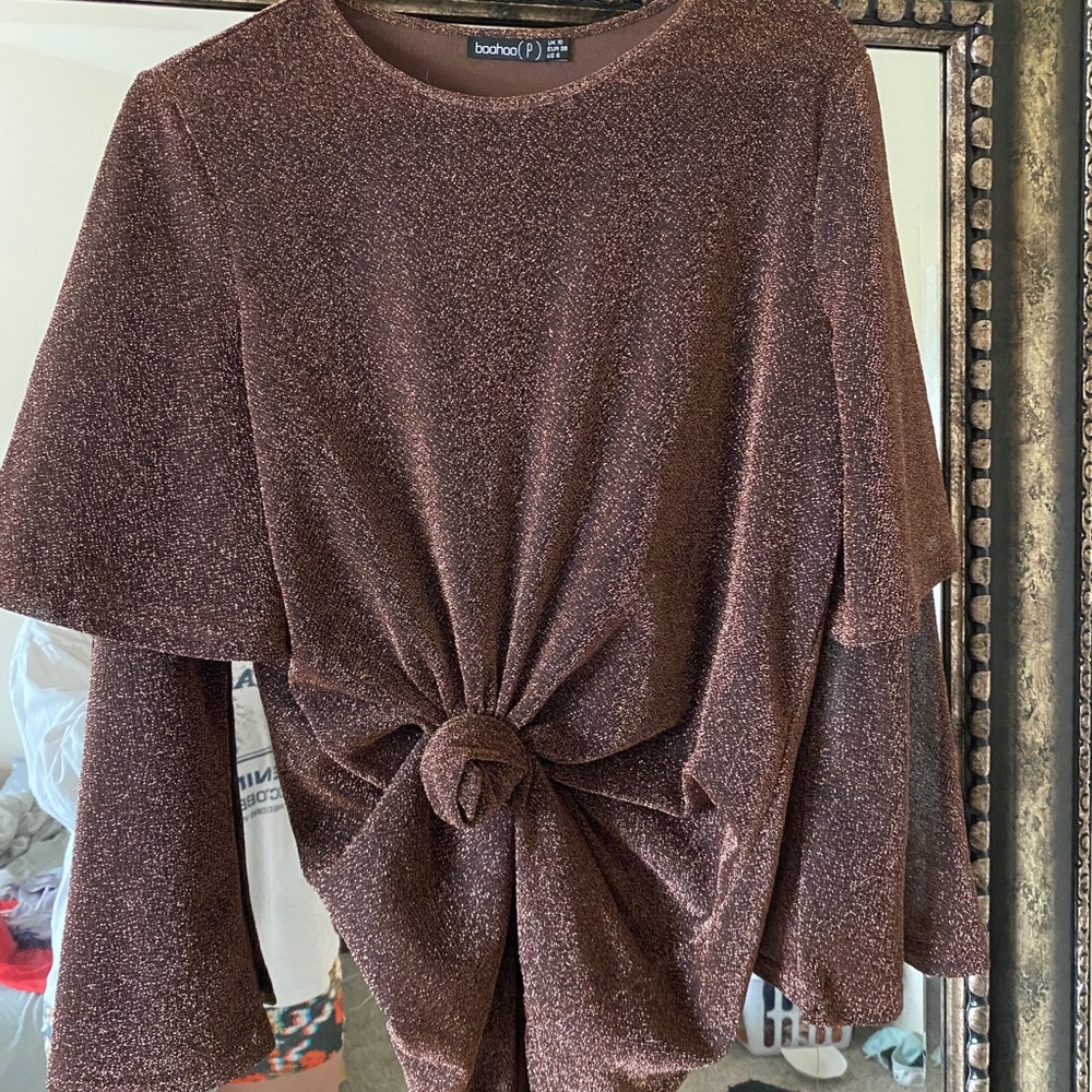 Sparkly Brown Top/Dress.